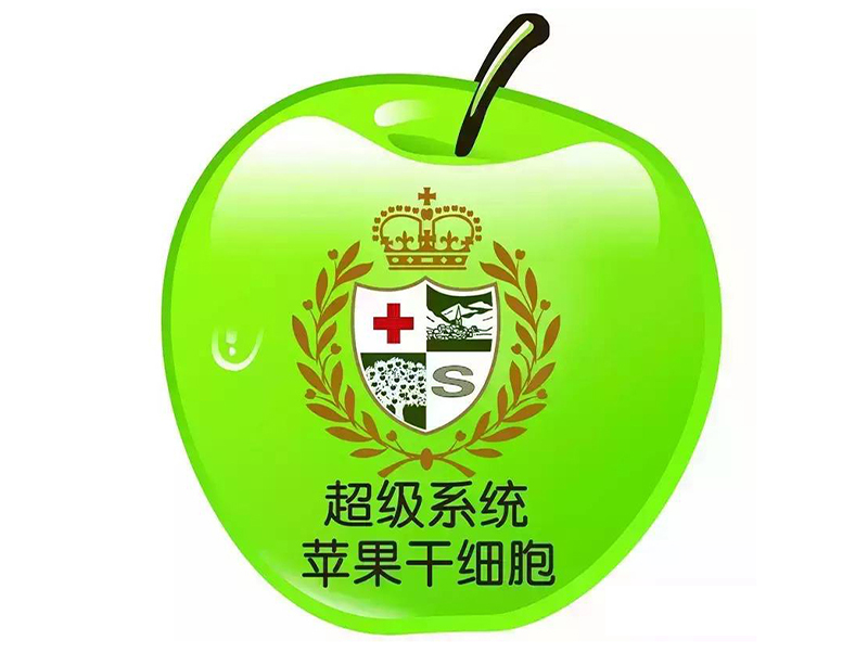 苹果干细胞